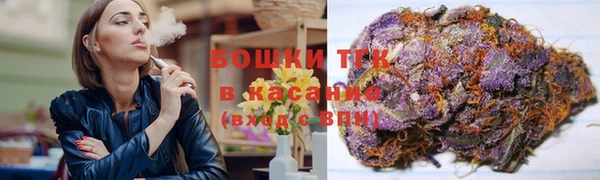 ПСИЛОЦИБИНОВЫЕ ГРИБЫ Богданович