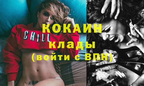 ПСИЛОЦИБИНОВЫЕ ГРИБЫ Богданович