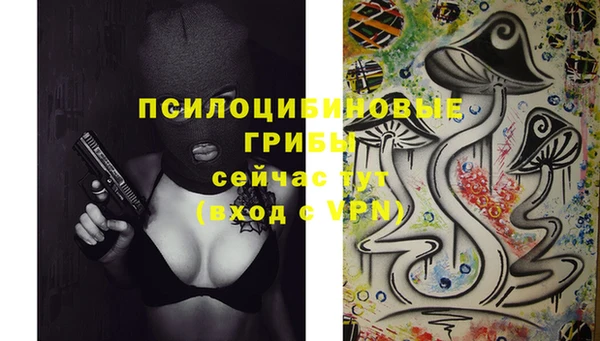 ПСИЛОЦИБИНОВЫЕ ГРИБЫ Богданович