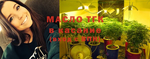 ПСИЛОЦИБИНОВЫЕ ГРИБЫ Богданович