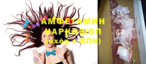 ПСИЛОЦИБИНОВЫЕ ГРИБЫ Богданович