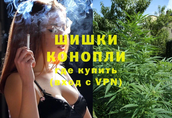 ПСИЛОЦИБИНОВЫЕ ГРИБЫ Богданович