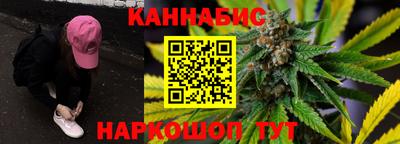 тгк Гай
