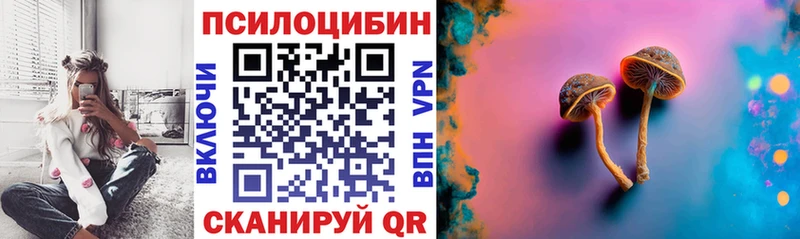 Галлюциногенные грибы мицелий  Вятские Поляны 