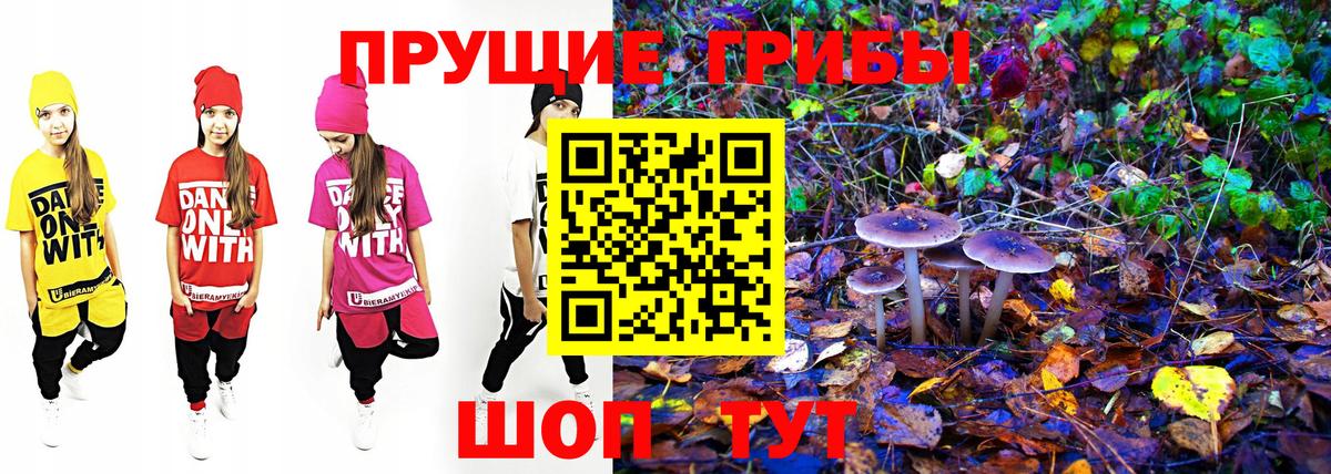 Галлюциногенные грибы MAGIC MUSHROOMS Вятские Поляны