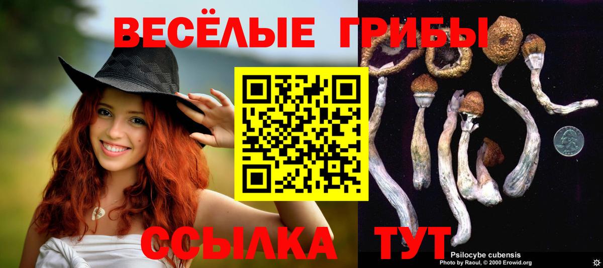 Галлюциногенные грибы Magic Shrooms  Вход с VPN  Вятские Поляны 